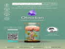 ورکشاپ آموزشی نرم‌افزار Obsidian در تبریز برگزار می‌شود